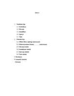 Referāts 'Zinātniski pētnieciskās metodes pedagoģijā', 2.