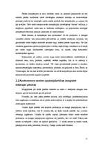 Referāts 'Globālā konkurence', 11.