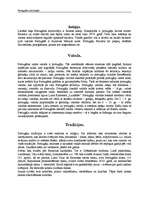 Referāts 'Portugāles iedzīvotāji', 3.