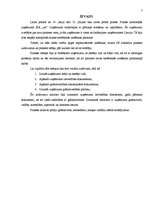 Prakses atskaite 'Lietvedības dokumenti un grāmatvedības organizēšana', 3.