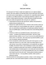 Referāts 'Preču zīme', 6.