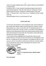 Referāts 'Preču zīme', 13.