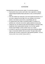 Referāts 'Preču zīme', 19.