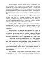 Referāts 'Mārketinga stratēģijas pilnveide uzņēmumā MeatMe', 21.