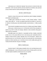 Referāts 'Grupu rašanās un attīstība', 4.