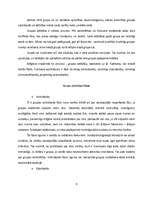 Referāts 'Grupu rašanās un attīstība', 6.