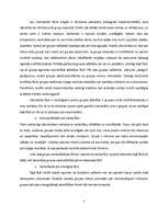 Referāts 'Grupu rašanās un attīstība', 7.