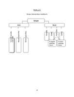 Referāts 'Grupu rašanās un attīstība', 10.