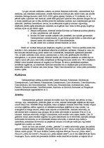 Referāts 'Indiāņu Amerika', 4.