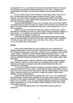 Referāts 'Indiāņu Amerika', 13.