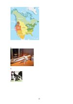 Referāts 'Indiāņu Amerika', 15.