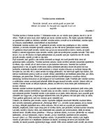 Eseja 'Valodas kultūra mūsdienās', 1.