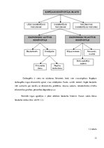 Referāts 'Sociālais darbs ar pirmspensijas vecuma bezdarbniekiem', 12.