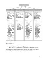 Referāts 'Sociālais darbs ar pirmspensijas vecuma bezdarbniekiem', 13.