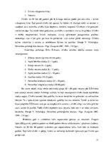 Referāts 'Sociālais darbs ar pirmspensijas vecuma bezdarbniekiem', 21.