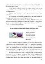 Referāts 'Sociālais darbs ar pirmspensijas vecuma bezdarbniekiem', 44.