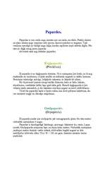 Referāts 'Koki ', 17.