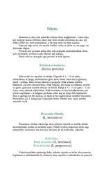 Referāts 'Koki ', 19.