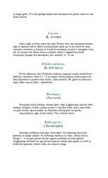 Referāts 'Koki ', 20.