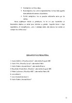 Referāts 'Imanuela Kanta idejas', 12.