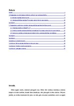 Referāts 'Bērna valodas attīstība', 2.