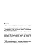 Referāts 'Bērna valodas attīstība', 18.