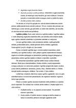 Konspekts 'Latvijas valsts ekonomiskā, sociālā, izglītības un drošības politika', 5.