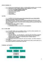 Konspekts 'Kriminālprocess', 29.