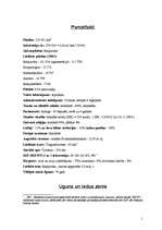 Referāts 'Islande', 2.