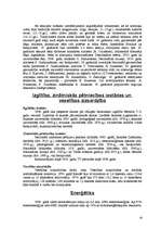 Referāts 'Islande', 18.