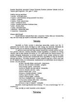 Referāts 'Islande', 29.