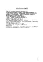 Referāts 'Islande', 40.