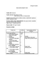 Konspekts 'Sporta stundas konspekts 3.klasei', 1.