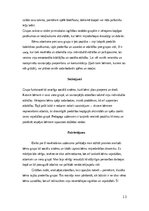 Prakses atskaite 'Pirmsskolas skolotāja pedagoģiskā prakse', 13.