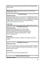 Prakses atskaite 'Pirmsskolas skolotāja pedagoģiskā prakse', 30.