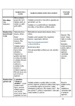 Prakses atskaite 'Pirmsskolas skolotāja pedagoģiskā prakse', 34.