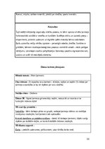 Prakses atskaite 'Pirmsskolas skolotāja pedagoģiskā prakse', 38.