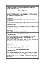 Prakses atskaite 'Pirmsskolas skolotāja pedagoģiskā prakse', 41.