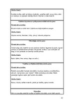 Prakses atskaite 'Pirmsskolas skolotāja pedagoģiskā prakse', 42.