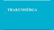 Prezentācija 'Trakumsērga', 1.