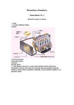 Konspekts 'Būvmašīnu mezgli un detaļas', 1.