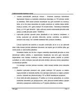 Referāts 'Sociāli - ekonomiskā programma e-Latvija ', 22.