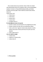 Referāts 'Izdegšanas sindroms un stress. Profesionālā stresa rašanās faktori', 4.