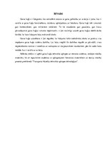 Referāts 'Gaisa kuģu tehniskās apkopes un remonta sistēma', 3.