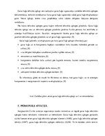 Referāts 'Gaisa kuģu tehniskās apkopes un remonta sistēma', 13.