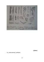 Referāts 'Senā akmens laikmeta cilvēku dzīvesveids', 28.