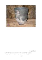 Referāts 'Senā akmens laikmeta cilvēku dzīvesveids', 29.