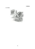 Referāts 'Senā akmens laikmeta cilvēku dzīvesveids', 38.