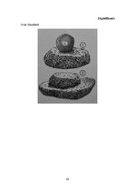 Referāts 'Senā akmens laikmeta cilvēku dzīvesveids', 43.