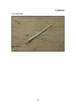 Referāts 'Senā akmens laikmeta cilvēku dzīvesveids', 44.